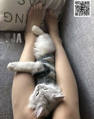 圈里人都知道热巴和黄磊