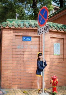 疯狂动物城国语版免费观看