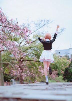 樱花动漫手机版